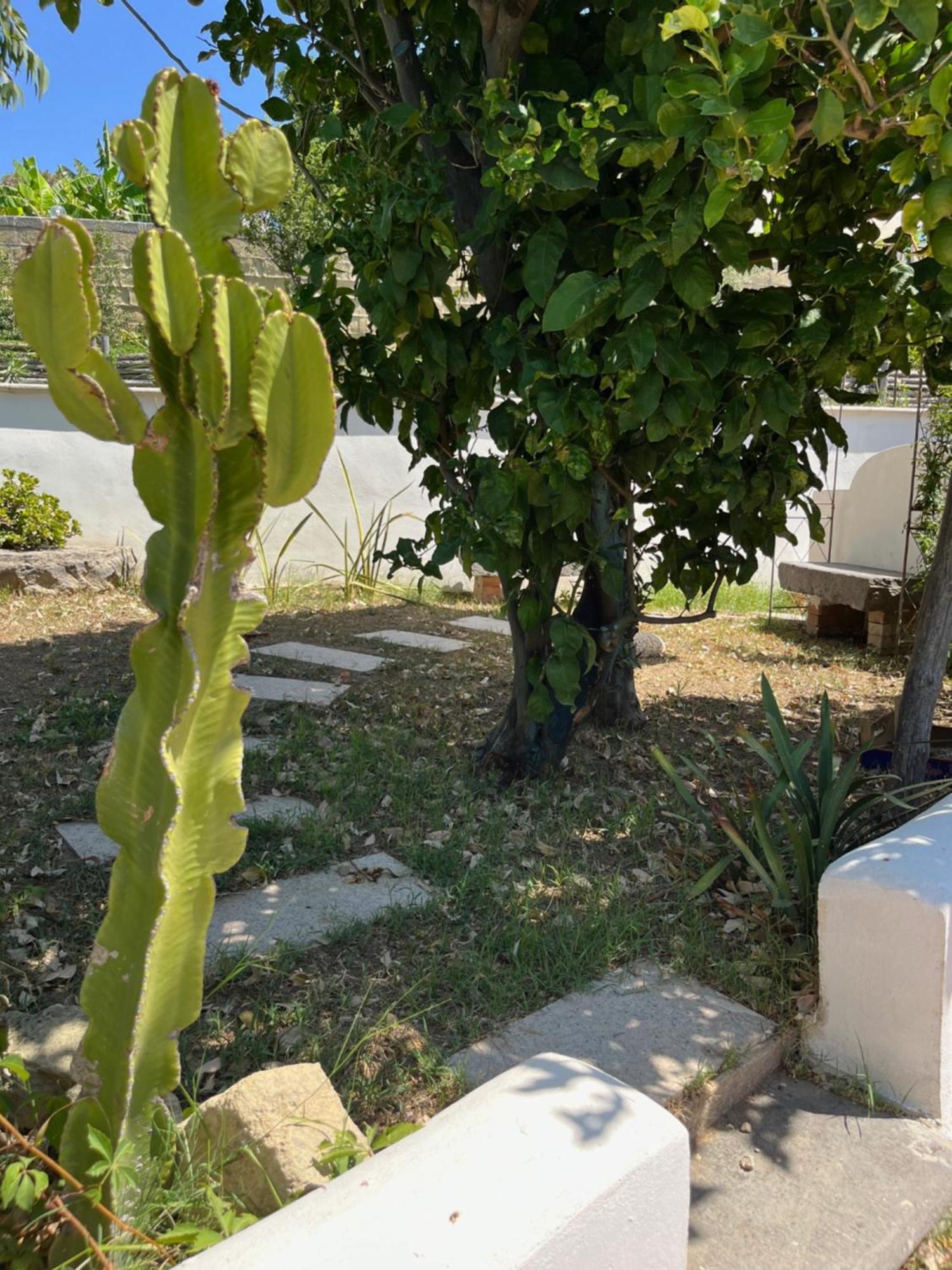Villa Manni Redang Island Dış mekan fotoğraf
